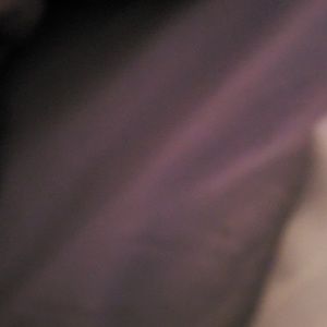 Meet your Posher, Lacey